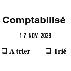 Tampon dateur Colop Expert Line 3160 - 1+1 lignes - 41x24 mm