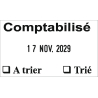 Tampon dateur Colop Expert Line 3160 - 1+1 lignes - 41x24 mm