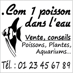 Tampon Trodat Printy 4923 - 6 Lignes personnalisables - 30X30
